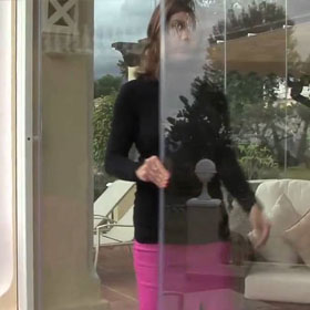 Indoor foliage plants